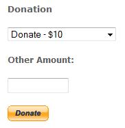 Donation with Other Amount