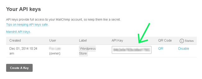 screenshot showing how to find the mailchimp api keys