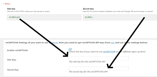 copy-pasting-site-secret-keys-recaptcha