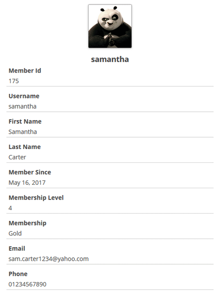 example-of-user-profile-display