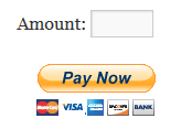 accept-any-payment-amount-widget-example