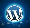 wordpress_theme_icon_128