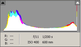 Histogram before Adjusting