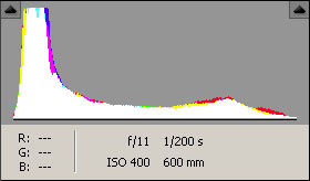 Histogram after adjustment