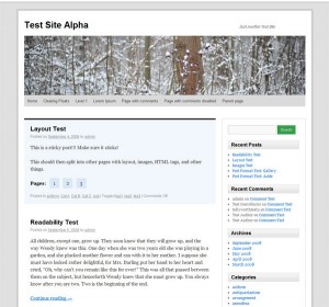 refined-twenty-ten-child-theme-screenshot