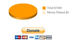 donation widget sample