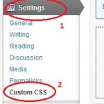 wp-custom-css-plugin-settings