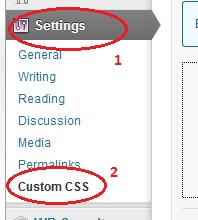 wp-custom-css-plugin-settings