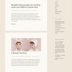 2013 wordpress child theme preview