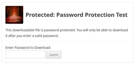 example-download-with-password-protection