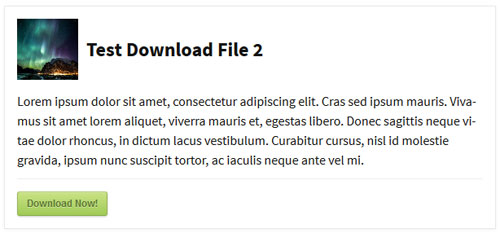 Download Now Button with a Nice Display Template