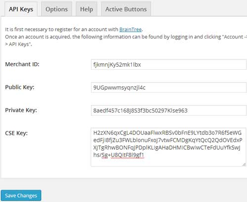 braintree api key settings