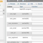 wp users database table