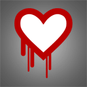 heartbleed-bug-icon-logo