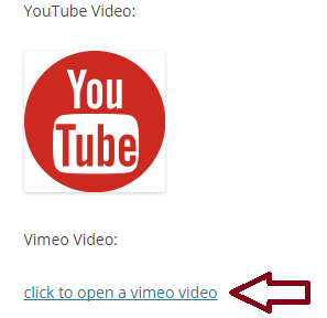 screenshot showing the youtube embed using toggle media wordpress plugin
