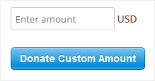 example-stripe-donation-button-with-custom-amount