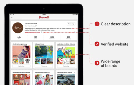 Pinterest-kinh doanh-trang-ví dụ
