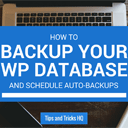 How to Backup the WordPress Database