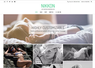 nikkon-free-wordpress-theme