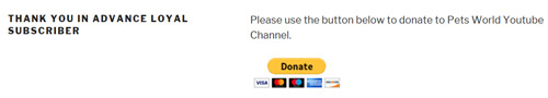 using-paypal-donation-plugin-for-youtube-fan-funding