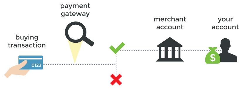 Stripe vs. Square: Choosing Your Perfect Site Payment Solution