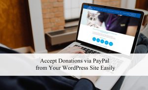 accept-donations-paypal-on-wordpress-website